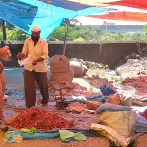 Landausflüge in New Mangalore