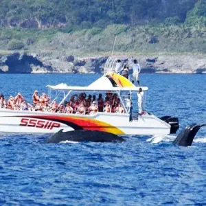 Landausflug in Samaná