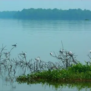 Landausflug in Colombo