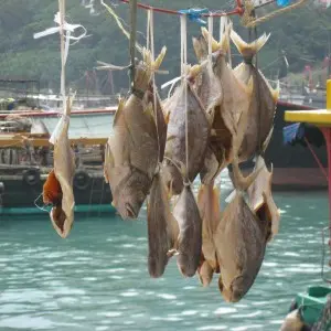 Landausflug in Hongkong