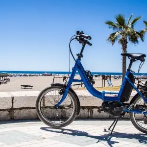 Landausfluggäste können sich bei Ihrer Fahrradtour auch für ein E-Bike entscheiden