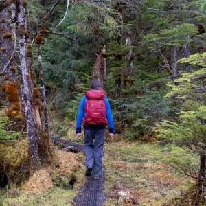 Landausflug in Ketchikan