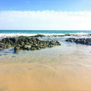 Landausflug auf Fuerteventura