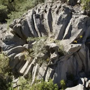 Landausflug auf Teneriffa