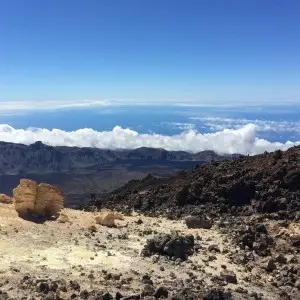 Landausflug auf Teneriffa
