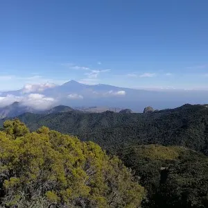 Landausflug auf La Gomera