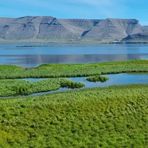 Landausflüge in Isafjördur