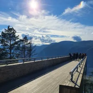 Landausflüge in Flåm