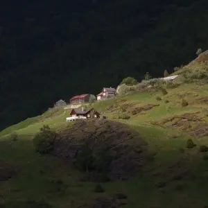 Landausflüge in Flåm