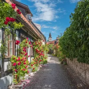 Landausflug in Visby (Gotland)