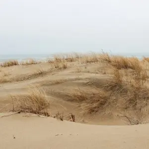 Landausflug in Klaipeda