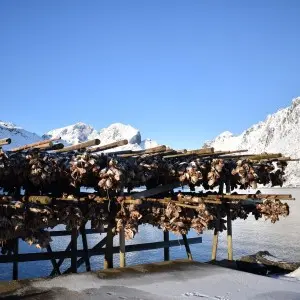 Landausflug in Gravdal (Leknes)