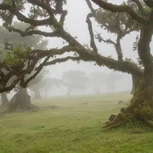 Landausflug auf Madeira