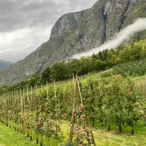 Landausflug in Flåm