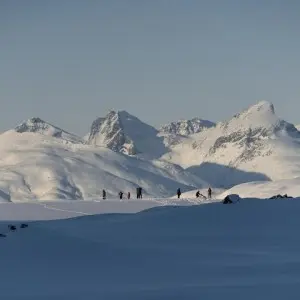 Landausflug in Tromsø