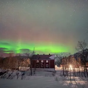 Landausflug in Narvik