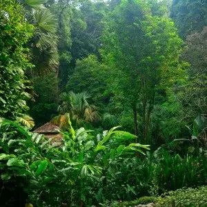Landausflug auf Penang