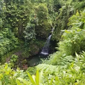 Landausflug in Roseau (Dominica)