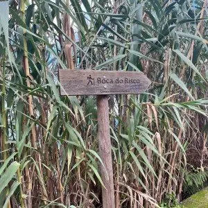 Landausflug auf Madeira