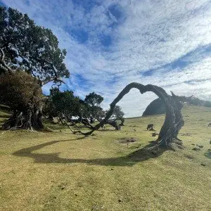 Landausflug auf Madeira
