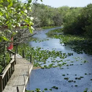 Aussicht übers Wasser im Everglades Nationalpark