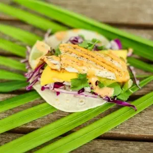 Hübsch angerichtetes Seafood-Gericht