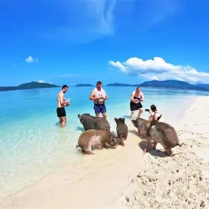 Landausflüge auf Koh Samui