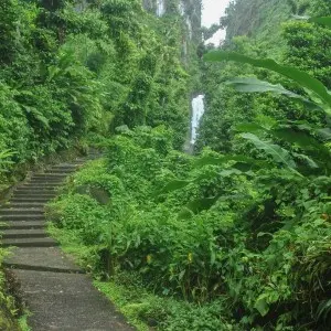 Landausflug in Roseau (Dominica)