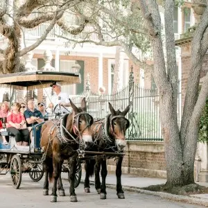 Landausflug in Charleston