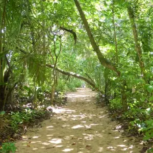 Landausflug in Puerto Limon