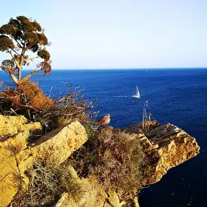 Steinhuhn in Kap Sounion