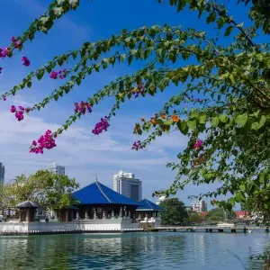 Landausflug in Colombo