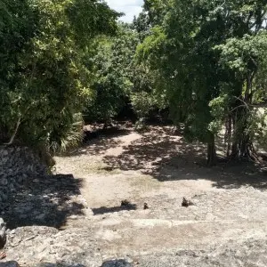 Die Maya-Ruinen von Chacchoben sind im Dschungel gelegen