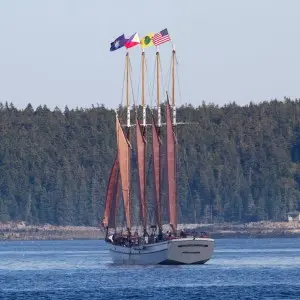 Segelboot im Hafen von Bar Harbor mit Aussicht auf Landschaft