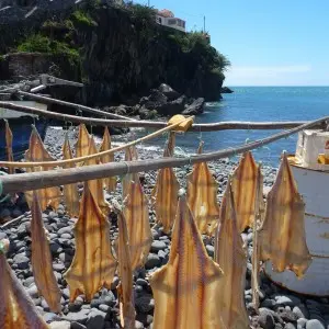 Shore excursion in Madeira