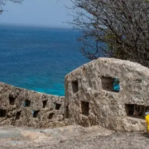 Landausflug in Kralendijk (Bonaire)