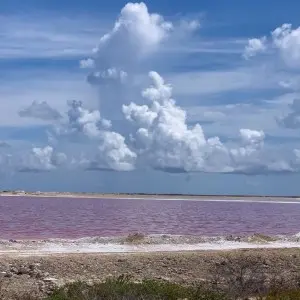 Landausflug in Kralendijk (Bonaire)