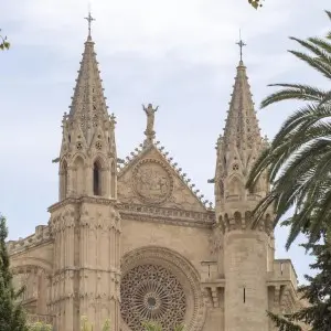 Landausflüge auf Mallorca