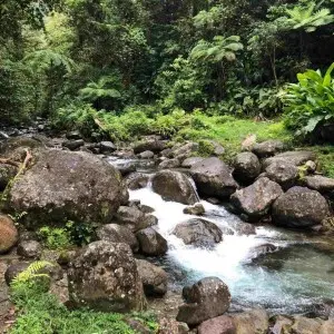 Landausflug in Fort-de-France (Martinique)