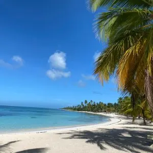 Landausflug in La Romana