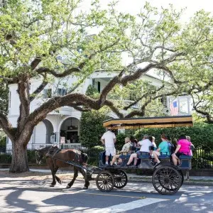 Landausflüge in Charleston