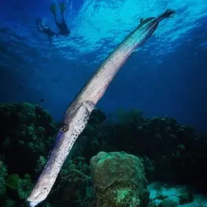 Landausflug in Kralendijk (Bonaire)