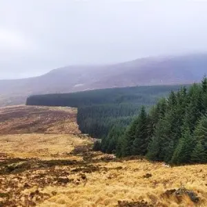 Landausflug in Dublin