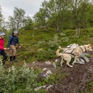 Landausflug in Kirkenes