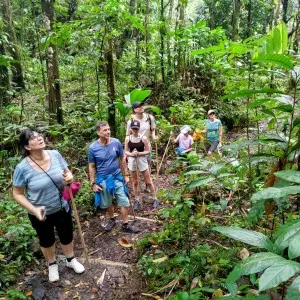 Landausflug in Kingstown (St. Vincent)