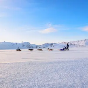 Landausflug in Kirkenes