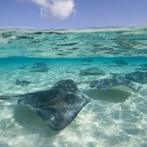 Landausflug in George Town (Grand Cayman)