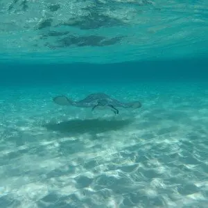 Landausflug in George Town (Grand Cayman)
