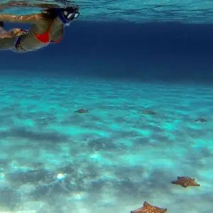 Landausflug auf Cozumel