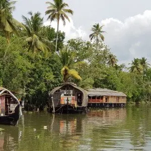 Landausflug in Cochin